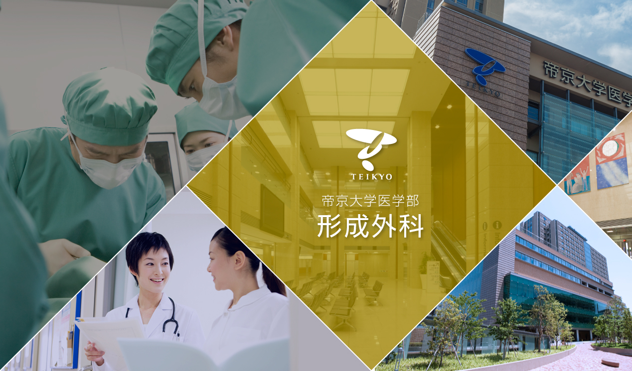 帝京大学医学部　形成外科